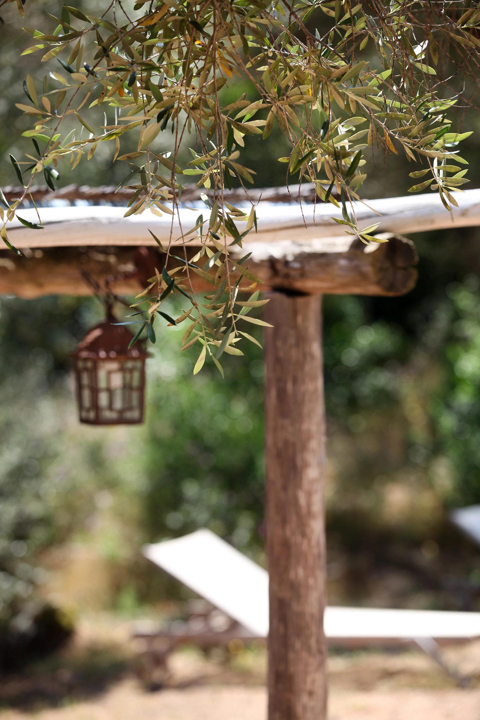 Espace détente aux Oliviers de Palombaggia en Corse-du-Sud.