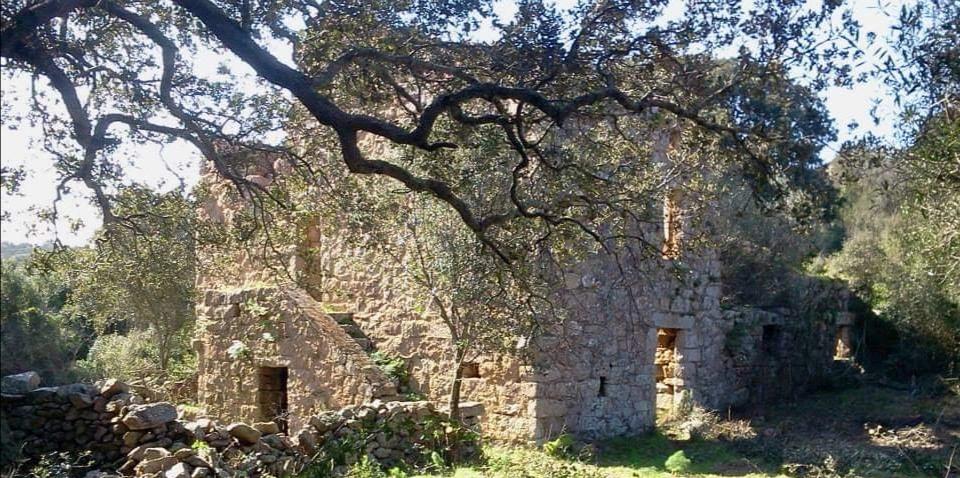 Maison en pierre et espace vert aux alentours des Oliviers de Palombaggia en Corse-du-Sud.