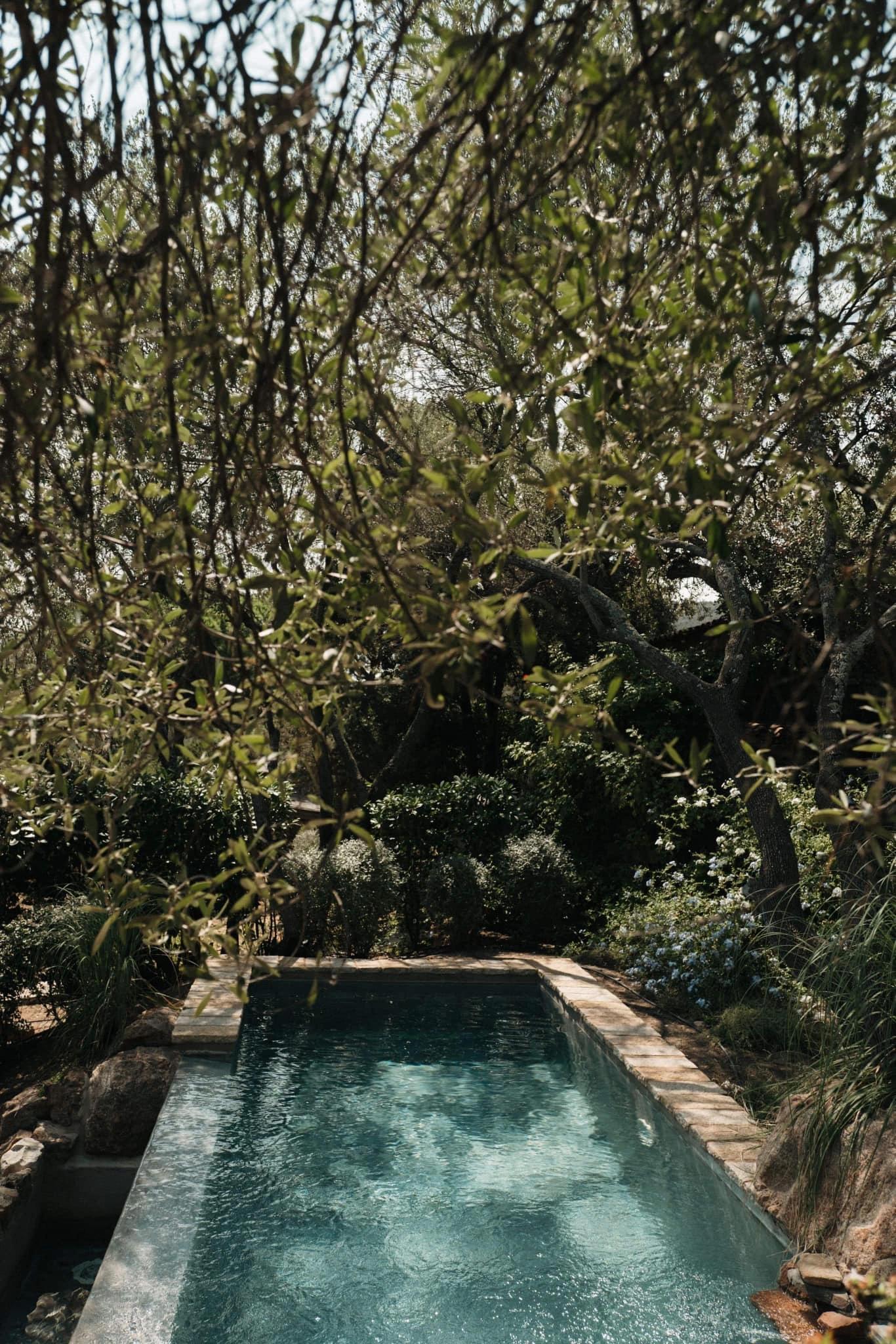 Piscine avec espace vert autour aux Oliviers de Palombaggia en Corse-du-Sud.